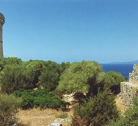 Azzedda فيلة *